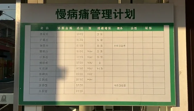 慢病随访服务的性能表现与适用场景分析